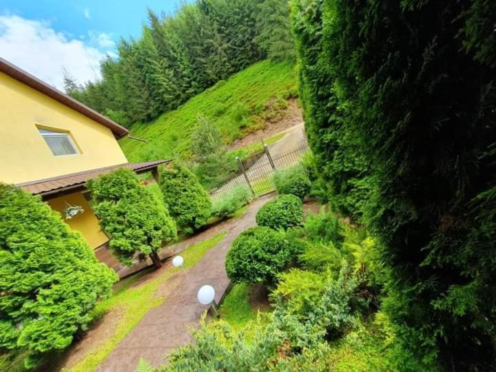 Pensiunea Cla Albac Exterior photo